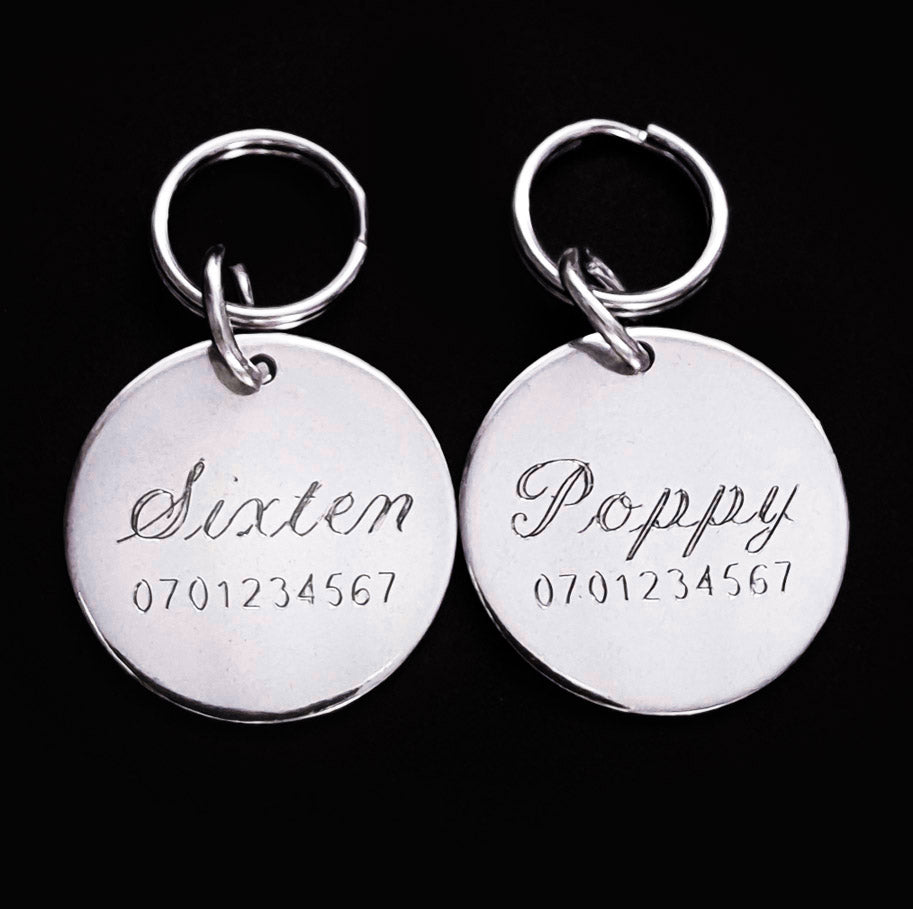 ID-bricka till katt eller liten hund